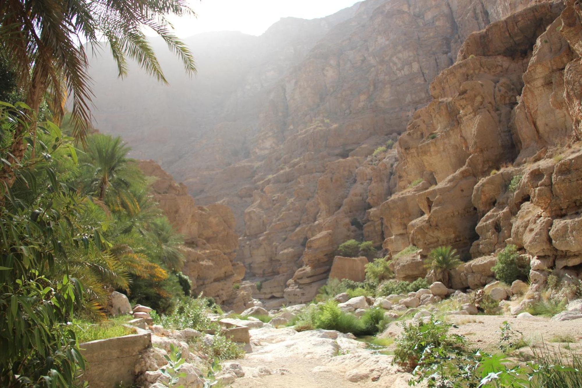 Wadi Shab Guest House Tiwi Exterior foto